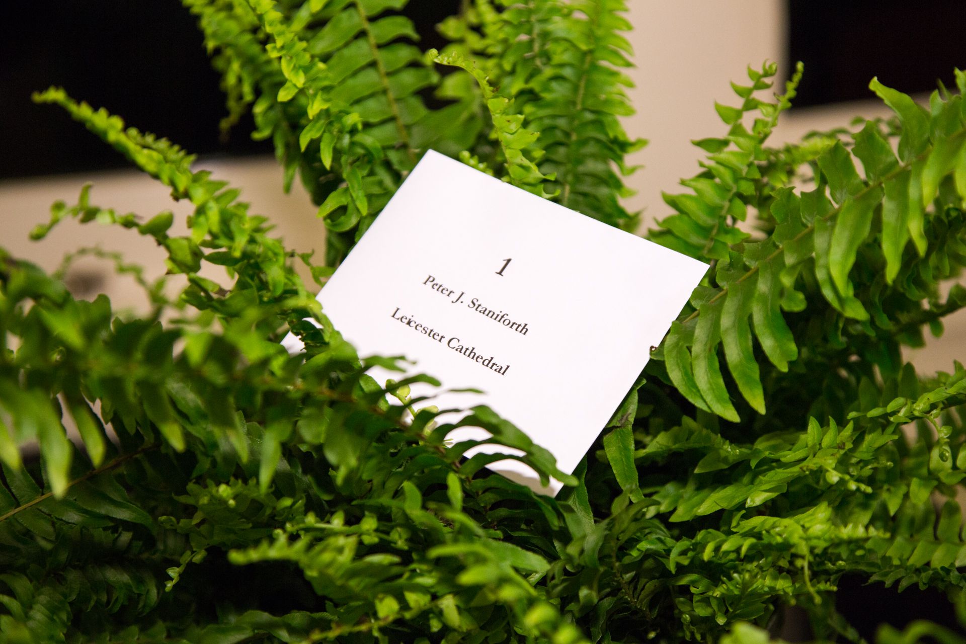 5.21.2014 National Cathedral Bell Ringers 91