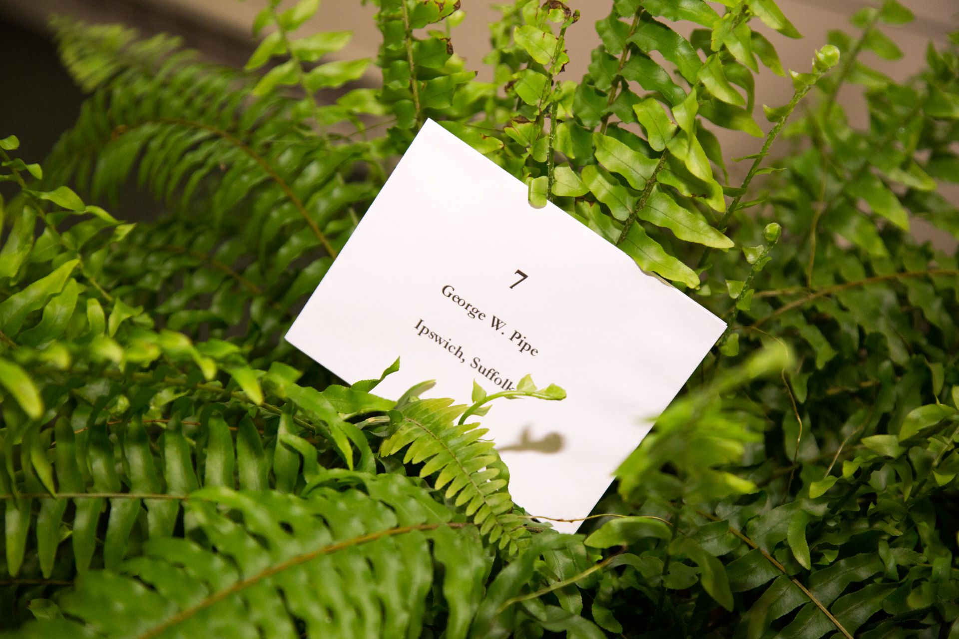 5.21.2014 National Cathedral Bell Ringers 93