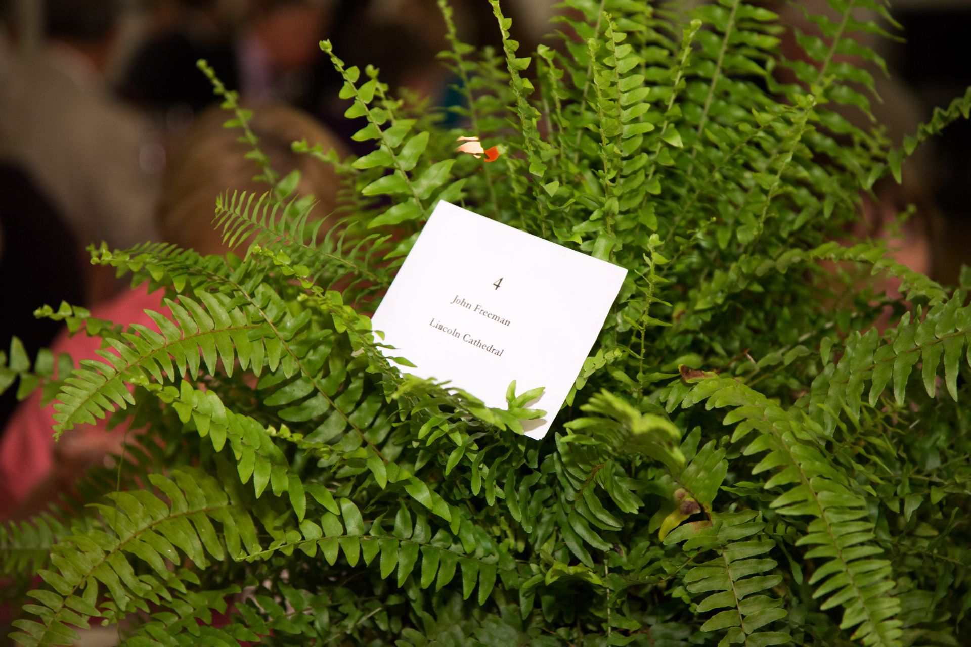 5.21.2014 National Cathedral Bell Ringers 95