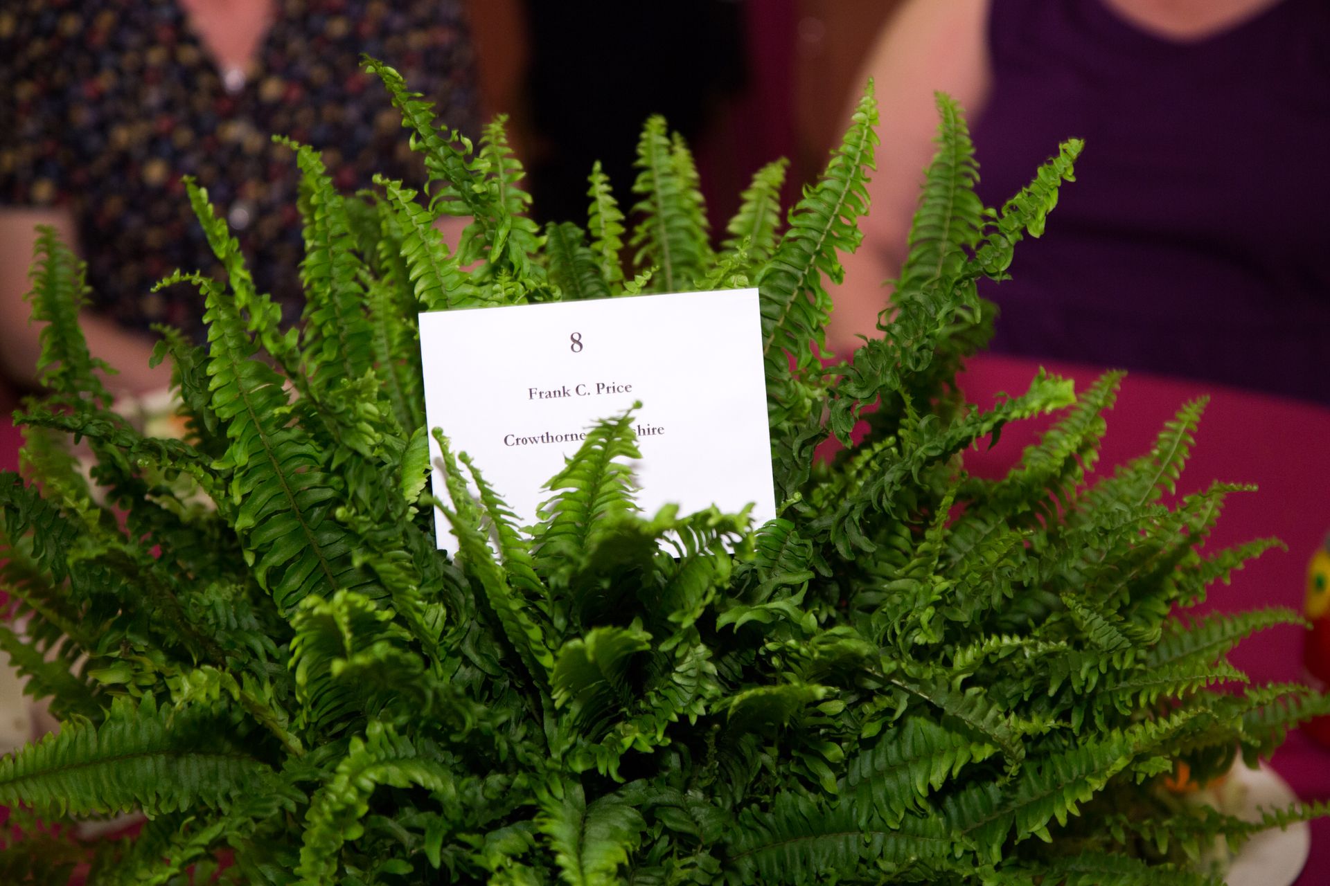 5.21.2014 National Cathedral Bell Ringers 99